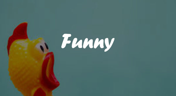 Funny Articles